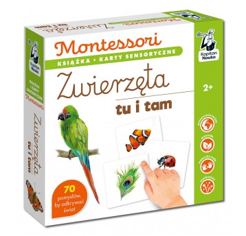 Montessori. Zwierzęta tu i tam. Karty sensoryczne z książeczką